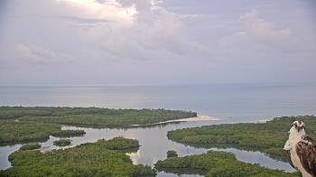 Thumbnail for current weather camera view from Kalea Bay in Naples, Florida