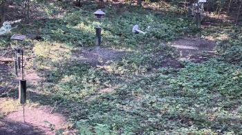 Weather camera view of Cincinnati Nature Center.