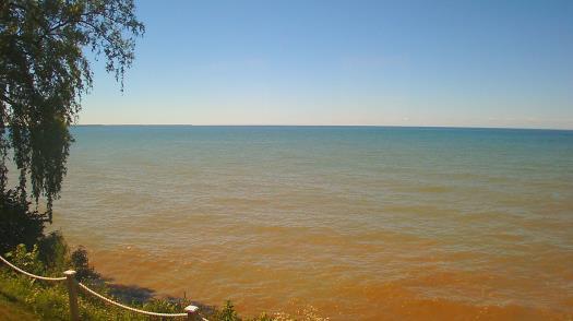 Weather camera view of Forest Lawn Beach.